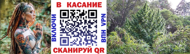 Названия наркотиков Певек АМФ  Метамфетамин  Псилоцибиновые грибы  Марихуана  ГАШИШ 